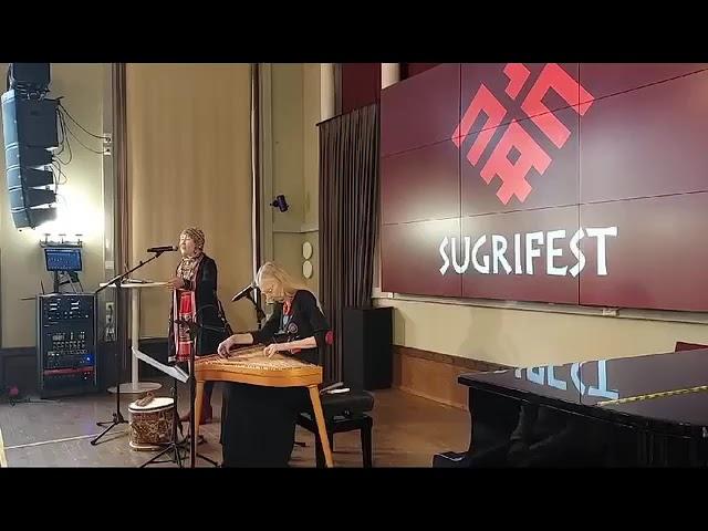 Sugrifest в Тампере 1