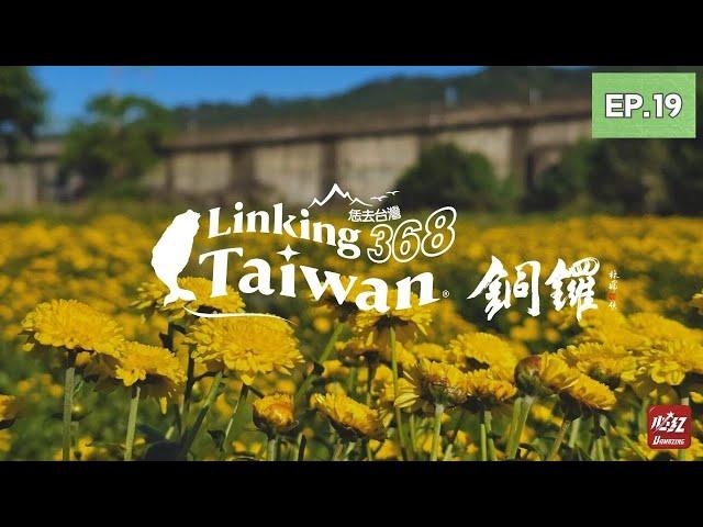 【苗栗銅鑼】EP19 完整版｜Linking368Taiwan