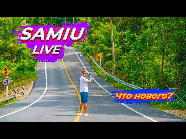 Самуи Live // Что нового? // Прямые рейсы в Таиланд // МИР в Таиланде