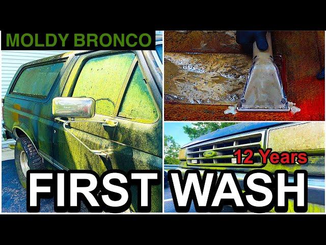 Disaster Barnyard Find | Extremely Moldy Bronco | First Wash In 12 Years | Car Detailing Restoration