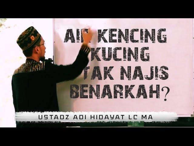 Benarkah Air Kencing Kucing Tidak Najis? || Ustadz Adi Hidayat Lc MA