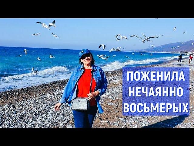 Зимуем у моря на пенсии. Где? Как? Сколько? Лазаревское, Сочи