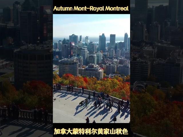 黄家山秋日 加拿大蒙特利尔 Mont-Royal Autumn Montreal QC Canada