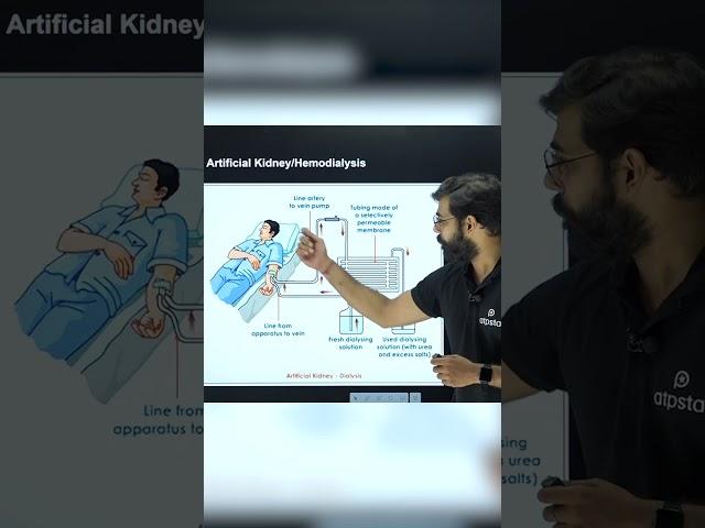 Function of Artificial Kidney | Hemodialysis | Class 10 Biology #shorts #reels #biology