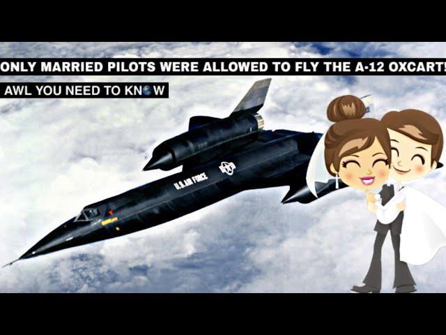 Only Married Pilots Were Allowed To Fly The A-12 Oxcart, But Why? #shorts