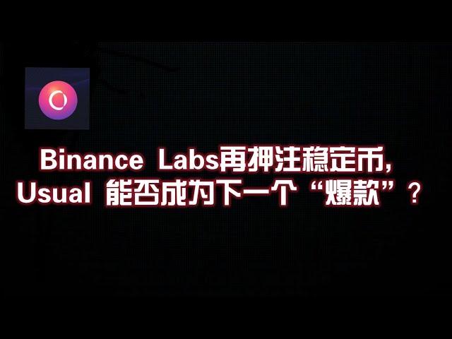 Binance Labs 再押注稳定币，Usual 能否成为下一个“爆款”？