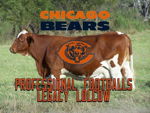 The Chicago Bears: Professional Football's Legacy Lolcow