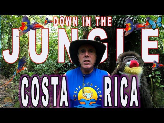 Down in The Jungle Music Video Costa Rica