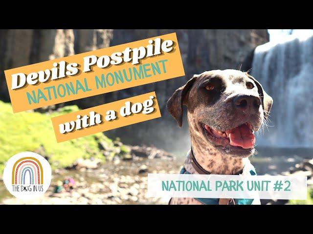 Devils Postpile National Monument with a Dog