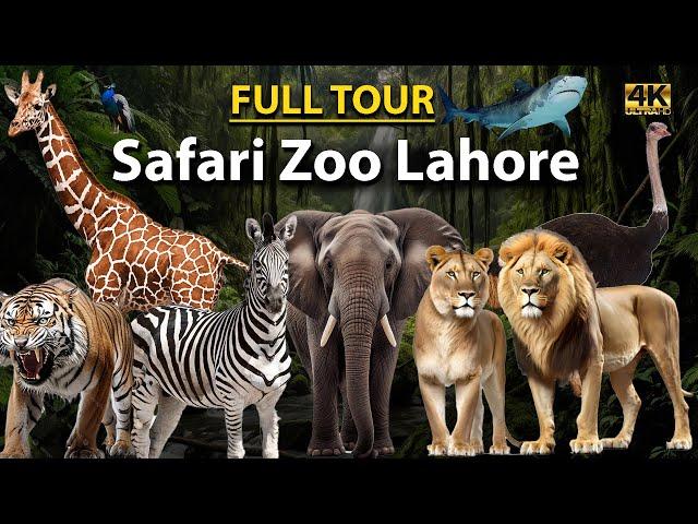 Safari Zoo Lahore after Renovation  || Lahore Safari Zoo || Safari Park Lahore || Safari Park Zoo