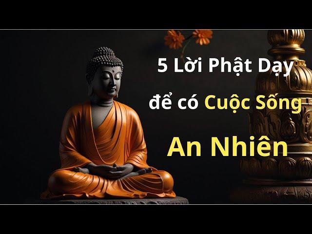 5 Bí Quyết Phật Giáo Giúp Bạn Ngừng Suy Nghĩ Quá Mức & Sống An Nhiên, Tìm Lại Bình Yên Nội Tâm