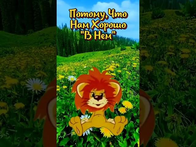 Воскресенье- день хороший#А завтра-понедельник#Юмор#Удачного дня#