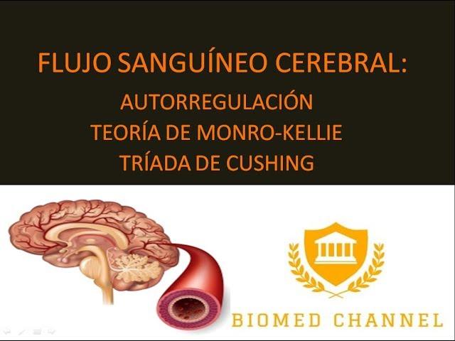 Flujo Sanguíneo Cerebral - Biomed Channel