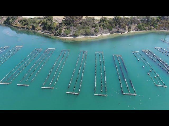 Carlsbad Aquafarm to close after nearly 70 years of shellfish farming