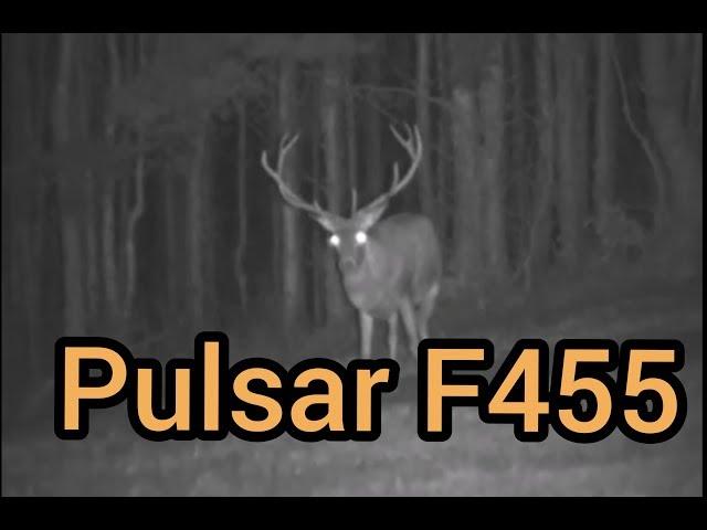 Pulsar F455, Red stags