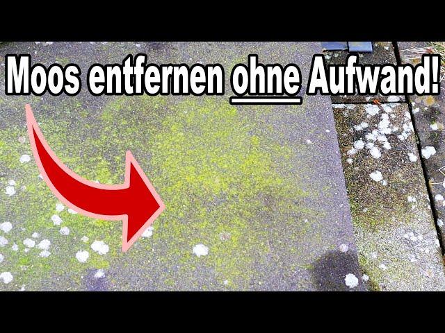 Wie  du Moos ganz einfach & schnell von deiner Terrasse entfernen kannst!