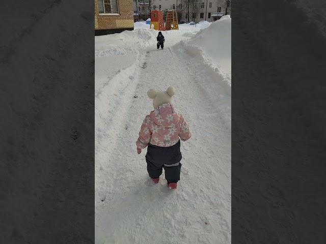 как я гуляю с двойней
