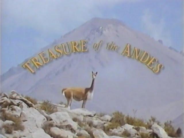 Treasure of the Andes (1993)