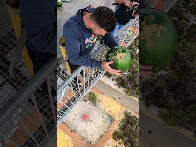 Watermelon Vs. World’s Largest Exercise Ball