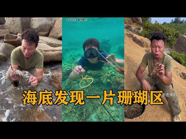 海底發現一片美麗的珊瑚區#户外#荒野求生#野外生存