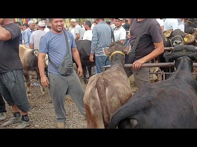 Андижон вилояти баликчи тумани баликчи мол бозоридан 