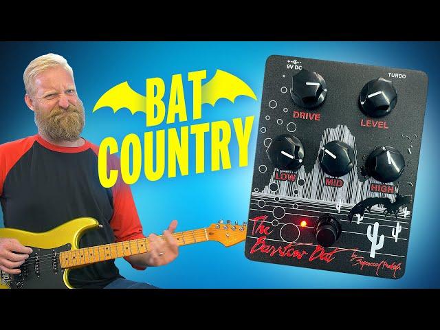 STOP HERE! IT'S BAT COUNTRY! - Exploring the natural wonders of the Supercool Barstow Bat