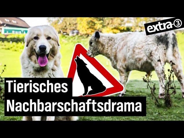 Realer Irrsinn: Hausarrest für Herdenschutzhunde in Windeck | extra 3 Spezial: Der reale Irrsinn | N