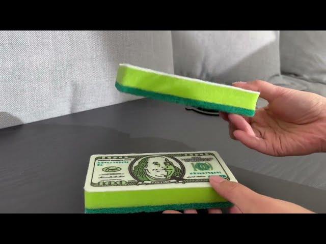 Genuine Fred Money Sponge Review - FUN GIFT IDEA!