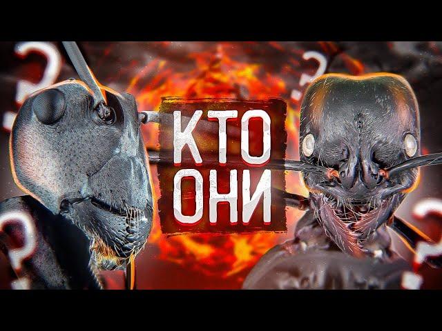 МУРАВЬИ - ЧТО МЫ О НИХ НЕ ЗНАЕМ? Удивительная жизнь самых организованных насекомых на планете