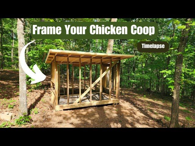 DIY Chicken Coop Build | Part 1 (Framing)