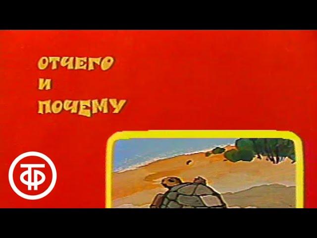 Отчего и почему. Самый-самый (1987)