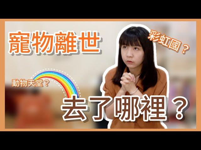 【Mow想說】寵物離世後去了哪裡？EP1.彩虹國是什麼？