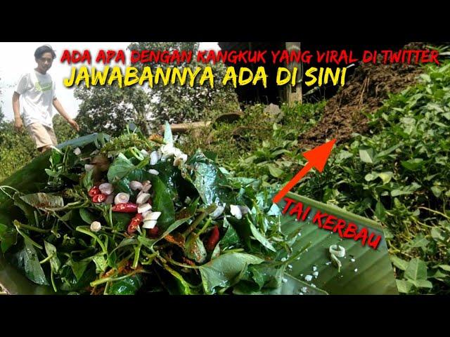 SURVIVAL SKILLS | Masak kangkung yang lagi viral di twitter | pepes Kangkung liar kotoran kerbau