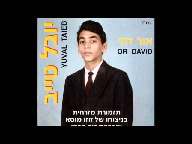 יובל טייב- אל בעוני הבט | אור דוד