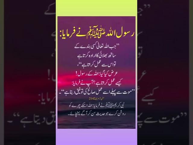 Hadees e Nabvi SAW #motivationalnaat 