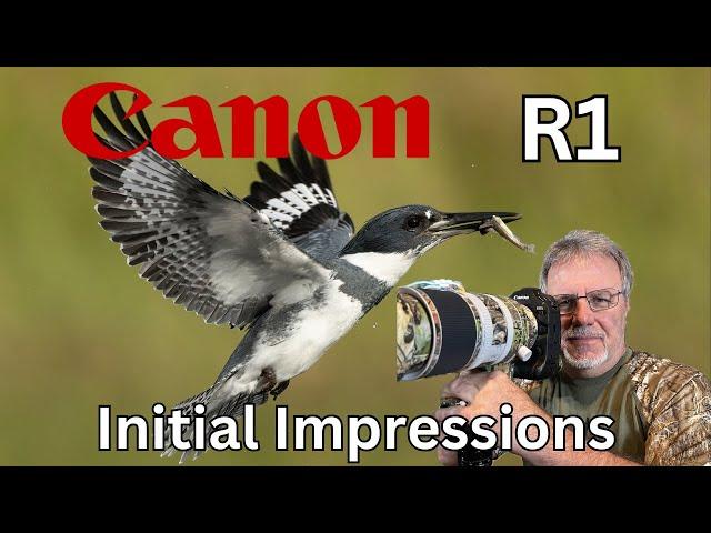 Canon R1 Initial Impressions - From a Bird Photographer