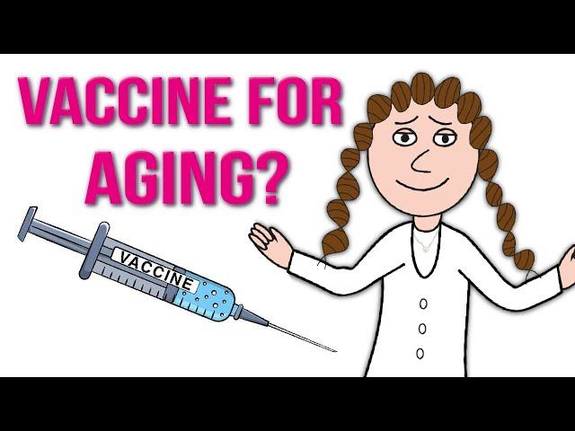 A senolytic vaccine for aging?