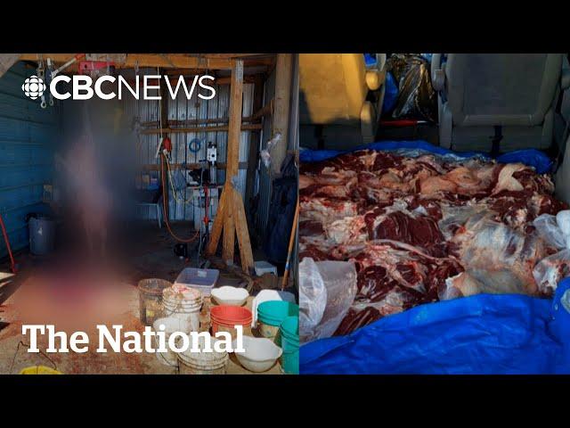 Growing halal meat demand feeding a potentially dangerous Alberta black market