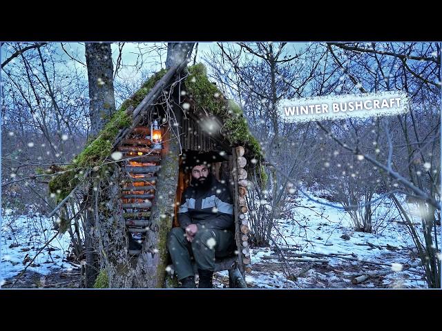 WINTER SURVIVAL in the Wilderness, Building a Cozy Bushcraft Shelter!