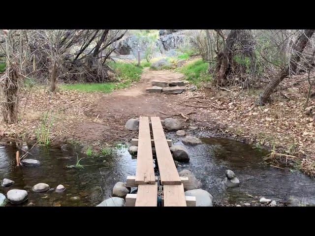 2021-03-18 Spur Cross Ranch Conservation Area, Cave Creek, Arizona