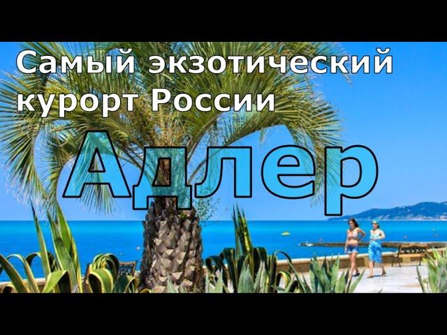 Адлер. Море, пляж, жильё, цены, кафе, столовые. Самый честный обзор. (Папа Может)