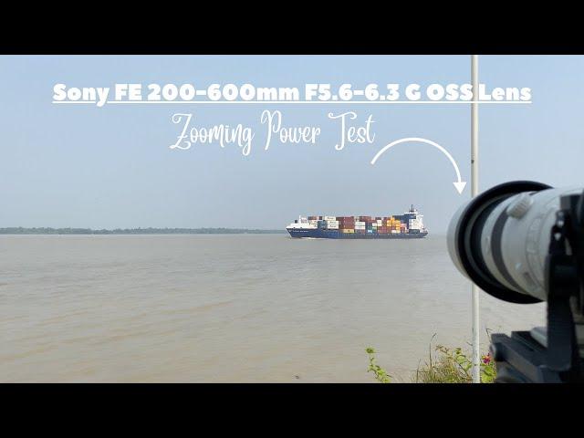 Sony FE 200-600mm Zoom Test: Unleashing Extreme Zoom Power!