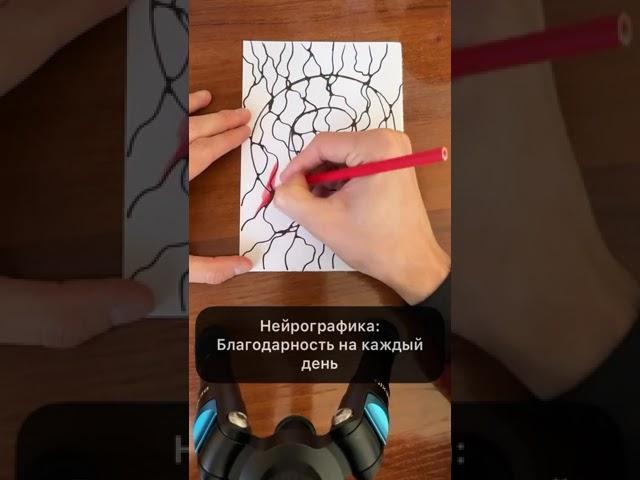 Благодарность на каждый день