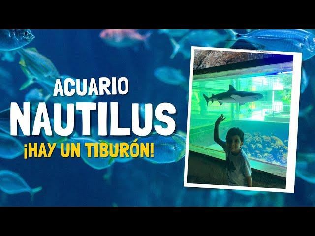 I visited the LARGEST AQUARIUM in PERU  | NAUTILUS AQUARIUM 2025 l COMPLETE TOUR with PRICES 