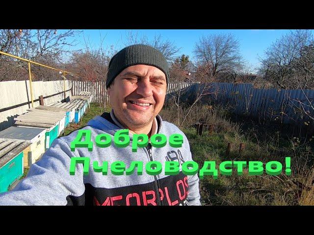 Пасека с нуля №1.В помощь начинающим пчеловодам! Доброе пчеловодство, в кругу друзей любителей пчёл!