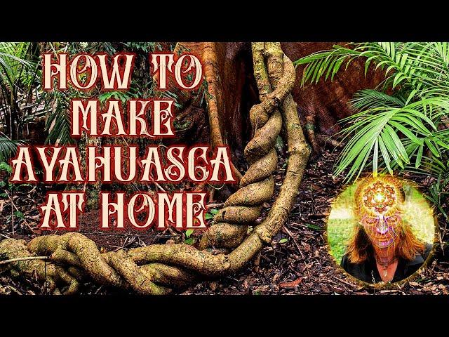 How to Make Ayahuasca (Super Easy!)