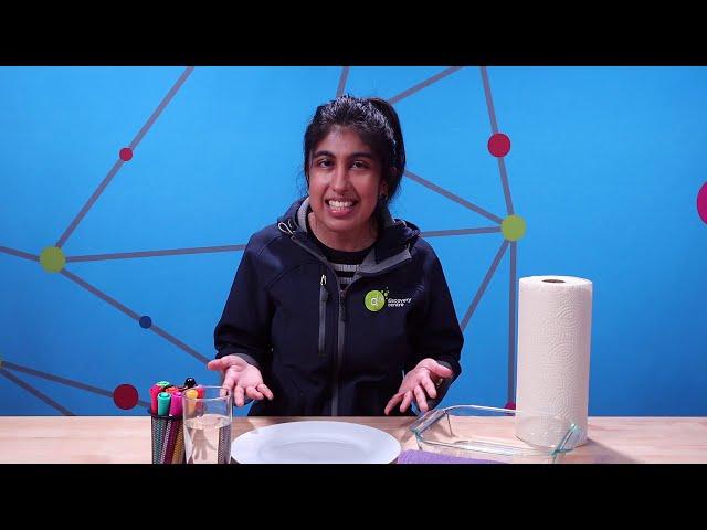 BiteSize Science- Swimming Scribbles