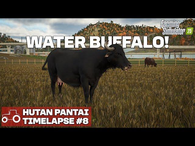 GETTING OUR FIRST WATER BUFFALOS!! Hutan Pantai FS25 Timelapse Farming Simulator 25 Ep 8