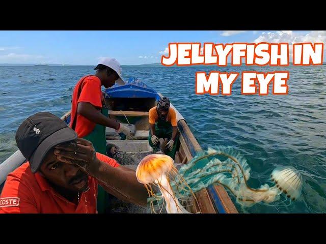 SNAPPER FISHING GONE WRONG, JELLYFISH ALMOST SENT ME TO THE HOSPITAL!!