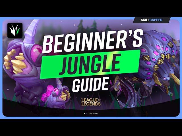 The COMPLETE Beginners Guide to JUNGLE for SEASON 14 - League of Legends